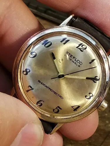 Relojes Steelco 17 Joyas Suizo Mexicano Ba o De Oro