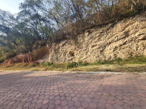 Venta Lote Gladiola 26 En Calle Privada Con Bonitas Vistas, Proyecto Incluído Y Con Todos Los Servicios En Fraccionamiento Rancho San Diego Ixtapan De La Sal Edomex