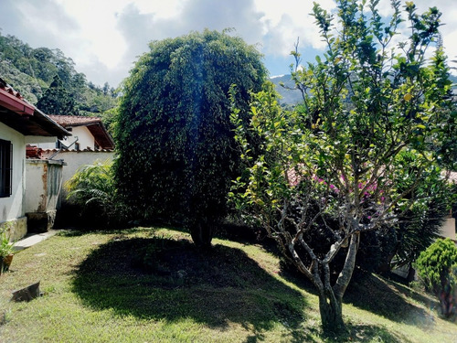 Imagen 15 de 30 de Casa En Venta Junko Country Club-riv Grupo Millenium-lf-lina Falivena