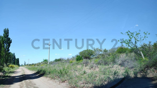 Century21lopez Vende Finca De 26hs Inculta En Las Catitas, Santa Rosa Mendoza