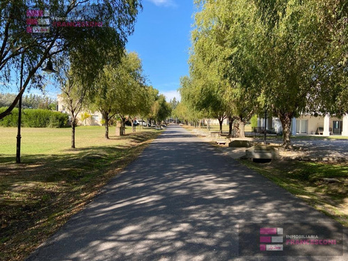 Imagen 3 de 5 de Terreno - Haras Del Sur Ii