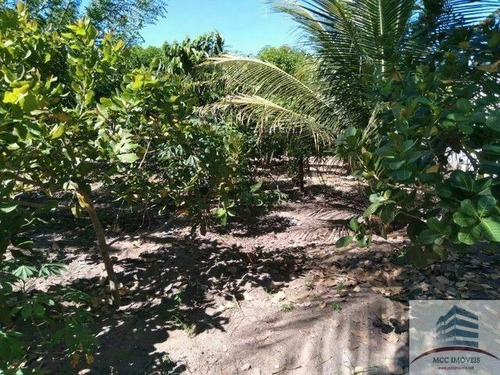 Imagem 2 de 8 de Granja A Venda São José De Mipibu