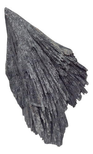 Cianita Negra Escoba De Bruja (65 Grs 10 Cm) Protección Negra