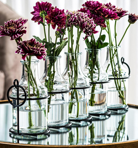 Jarrón De Flores De Vidrio 5pc Con Soporte De Metal, Los Mej