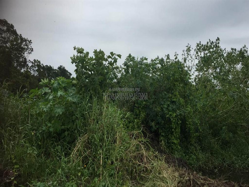 Imagem 2 de 2 de Terreno A Venda Em Itanhaém. - Sue38