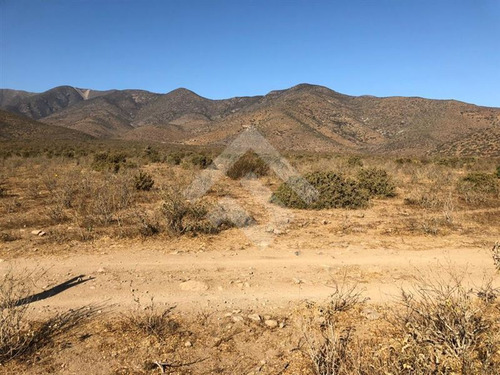 Agrícola En Venta En Andacollo