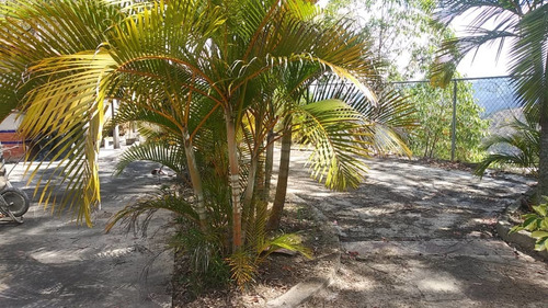 Imagen 7 de 14 de Terrenos En Venta Casavenezia 04241885943 04122947731