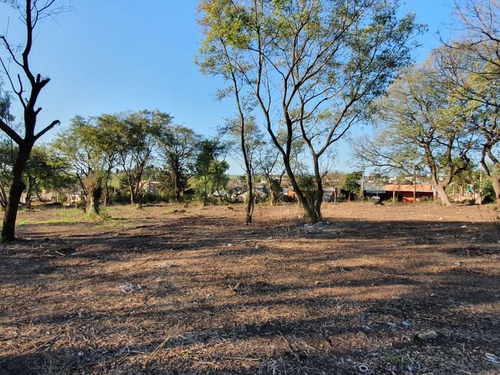 Imagen 11 de 11 de Terreno - Victoria