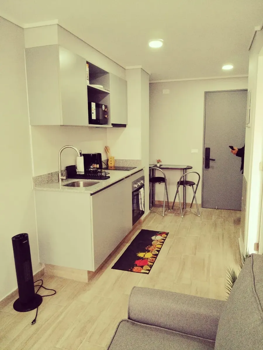 Imagen 1 de 24 de Arriendo Hermoso Depto 1d 1b Amoblado Stgo