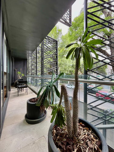 Renta Departamento En Polanco, Esquina Masaryk