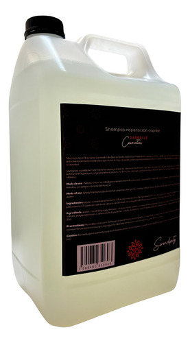 20 Lt Shampoo Acondicionador Hotelero Economico Refill