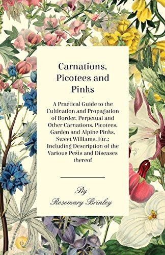 Carnations, Picotees And Pinks  A Practical Guide To The Cul