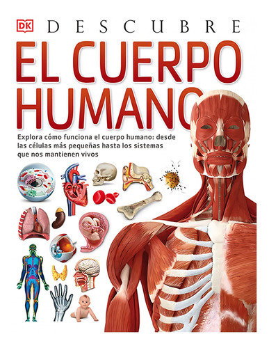 Libro El Cuerpo Humano, Descubre