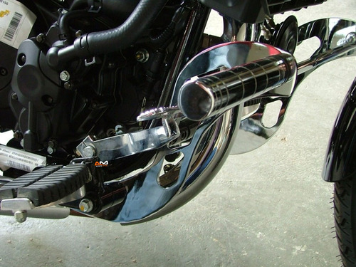 Protetor De Motor V2 Com Pedaleiras Horizon 250 - Dafra