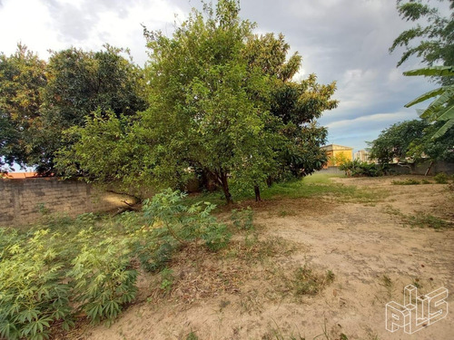 Terreno À Venda Em Jardim Pagliato - Te007993
