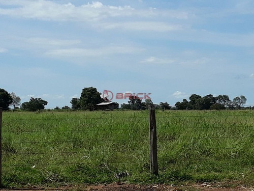 Imagem 10 de 19 de Fazenda Com 2.723 Mil Hectares No Vale Do Araguaia, Região Alvorada/araguaçu,to - Fa00021 - 69448081