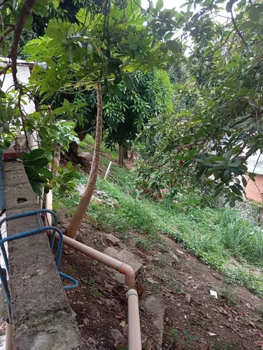 Vendo Terreno En Santa Mónica
