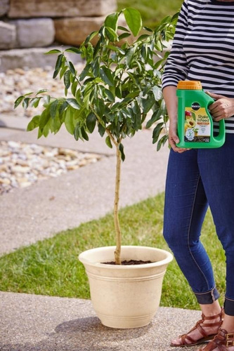 Miracle-gro Fertilizante Cítricos, Aguacate Y Mango 2kg