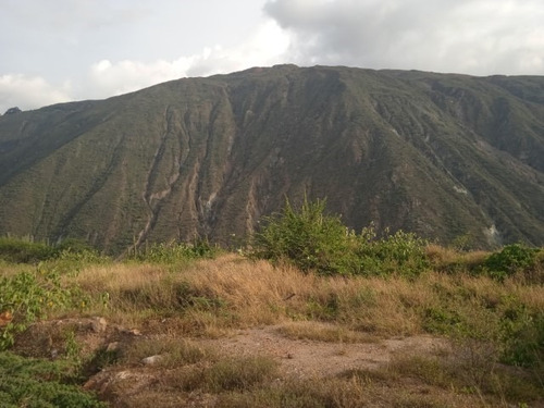Imagen 2 de 4 de En Venta Terreno En Lagunillas Estado Mérida
