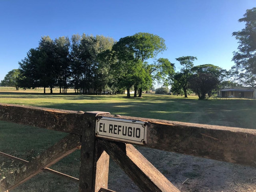 Casa En Alquiler Temporal En Mercedes