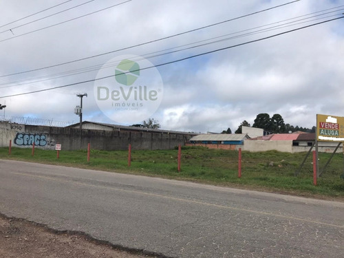 Imagem 5 de 16 de Terreno A Venda No Bairro Borda Do Campo Em São José Dos - 30084-1