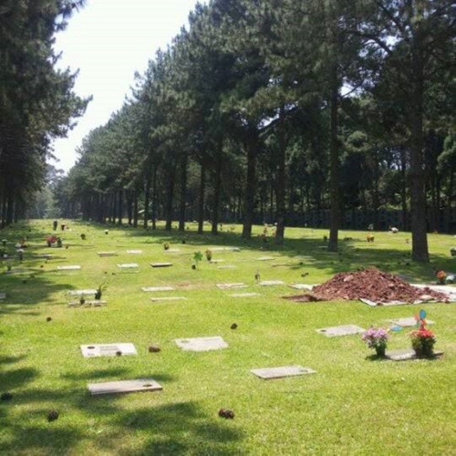 Jazigo Túmulo Cemitério Jardim Da Colina Com 4 Gavetas