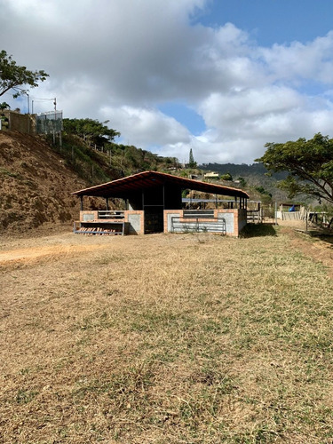 Imagen 8 de 17 de Finca En Parque Caiza A 10 Minutos De Caracas