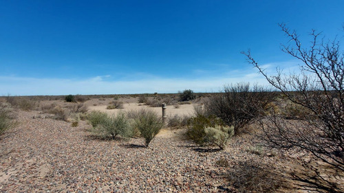 Campo En Venta En Las Catitas, Santa Rosa, Mendoza