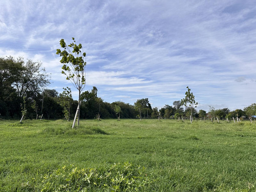Terreno En Venta, Maschwitz, Escobar, Eco Chacras
