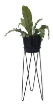Comprar Portamacetas Maceteros En Hierro 60cm De Alto - Somos Fabricantes