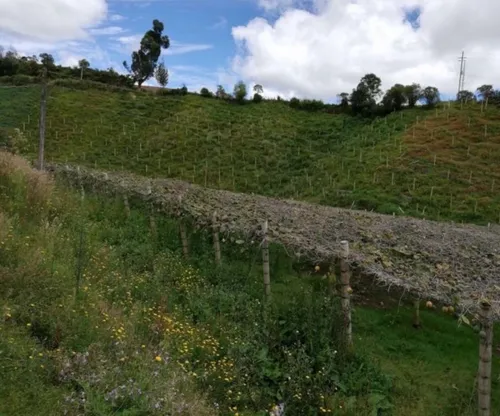 Hermosa Finca En Venta En El Municipio De La Unión Antioquia ~