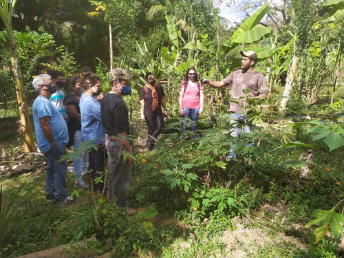 Imagem 4 de 4 de Curso De Agroecologia E Meliponicultura