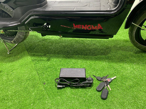 Bicicleta Electrica Pegaso Bike 350w 48v Negra