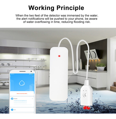 Alerta De Sensor De Fuga De Agua Wifi Con Aplicación Para Se