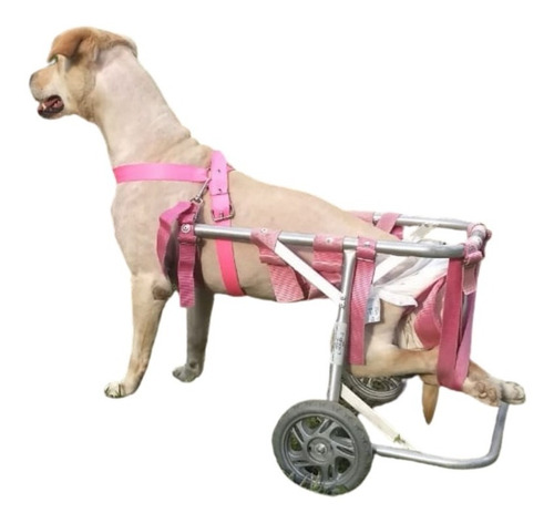Cadeira De Rodas Para Cão De 11 A 25kg