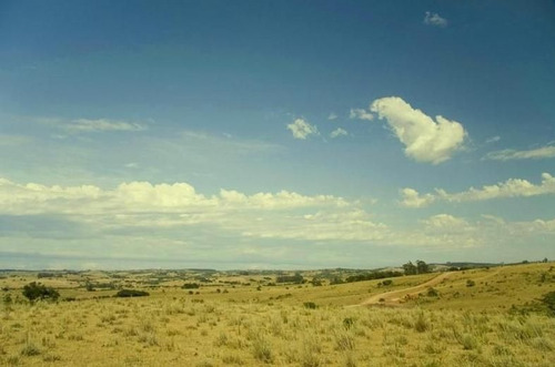 Quinta En Venta En Garzon