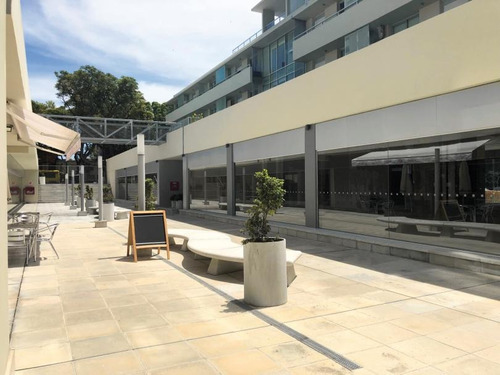 Imagen 2 de 9 de Excelente Local Comercial En Zona Céntrica - Campiglia