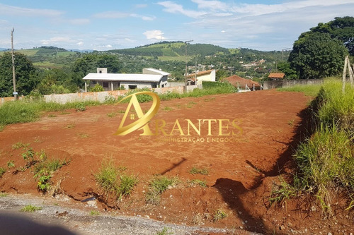 Imagem 3 de 7 de Terreno - Te00011 - 69578093