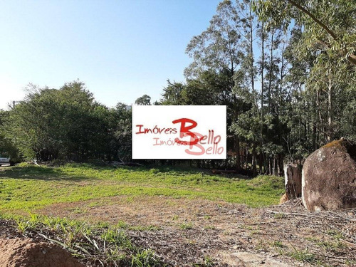 Imagem 2 de 4 de Terreno À Venda, 3122 M² Por R$ 625.000 - Condomínio Vale Da Santa Fé - Vinhedo/sp - Te0836
