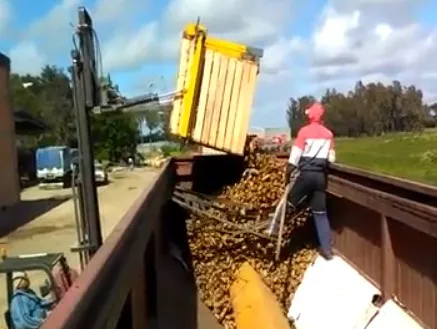 Volcador Cajones Bin Para Autoelevador - Tractor - Pala