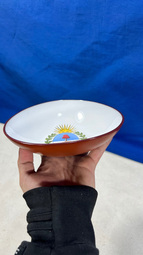 Plato Decorativo Despojador Escudo Mendoza Blanco (Usado)