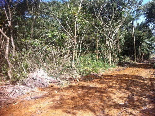 Linda Chácara Em Garuva 80.000m2 Fácil Acesso Para Br 101 Estuda Permuta - Sa00649 - 33844836