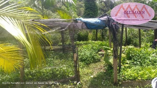 Imagem 12 de 15 de Sítio / Chácara Para Venda Em Peruíbe, Aliança, 2 Dormitórios, 1 Suíte, 1 Banheiro, 2 Vagas - 0831_2021_2-1217513