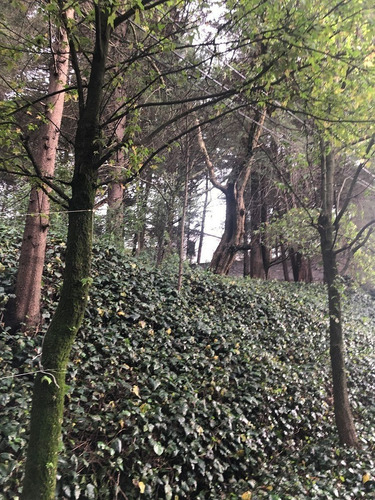 Terreno En Venta En Contadero