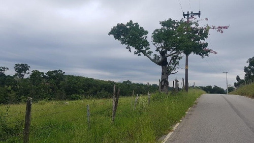 Imagem 3 de 4 de Venda - Sítio Jundiaquara / Araçoiaba Da Serra/ - 5613