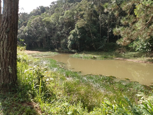 Imagem 12 de 30 de Sítio À Venda Em São Lourenço Da Serra; Sitio Com Piscina À Venda Em São Lourenço Da Serra Sp - 226 - 32982509