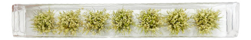 7 Uds. 1:35 1:48 1:72 1:87 Hierba En Miniatura, Racimo Beige