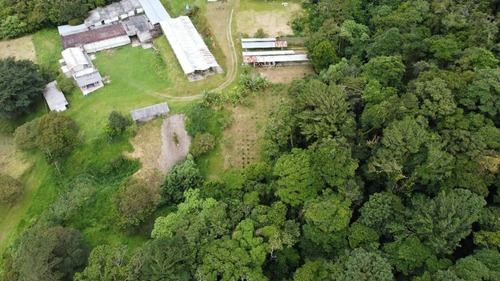 N.m. Finca En Venta En Capacho