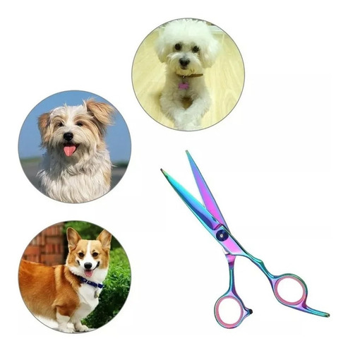 Set De Tijeras Y Estetica Canina Pet Sicssors