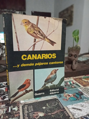 Libro Canarios Y Demás Pájaros Cantores